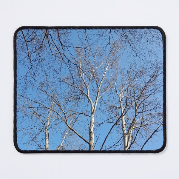 Item preview, Leaflless trees on blue sky background designed and sold by Dniprianka.