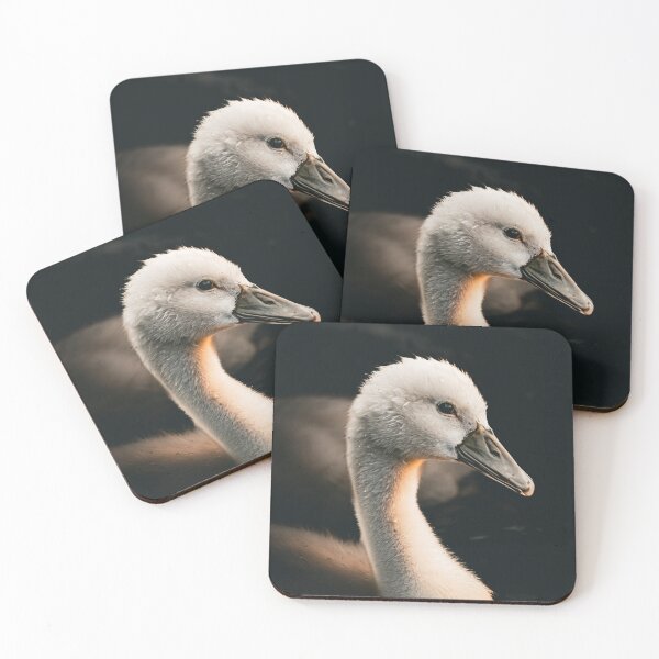 Item preview, baby swan designed and sold by Cheneuil.