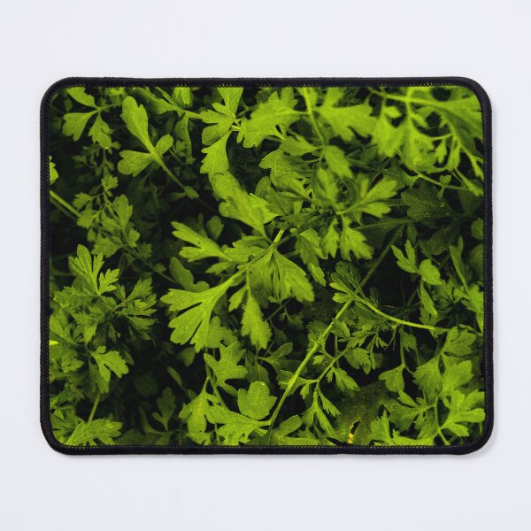 Item preview, Fresh Green Herb Foliage Pattern designed and sold by Apex_Visuals.