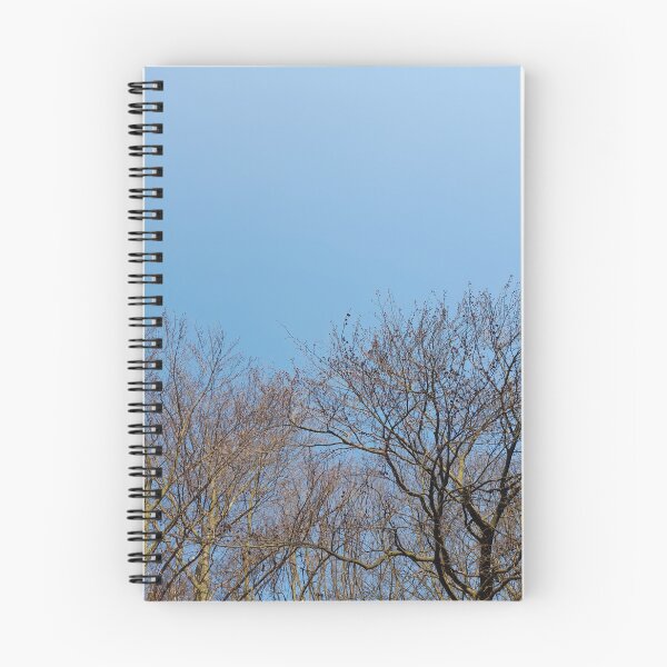 Item preview, Bare trees in early spring designed and sold by Dniprianka.