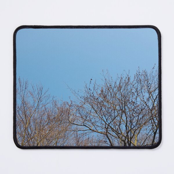 Item preview, Bare trees in early spring designed and sold by Dniprianka.