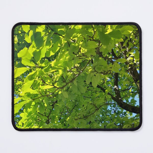 Item preview, Green leaves in sunlight designed and sold by Dniprianka.