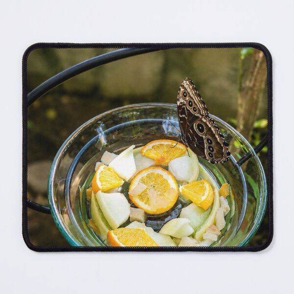 Item preview, Butterfly Banquet in a Garden Oasis designed and sold by AutumnLeAnnDesigns.