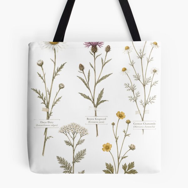Item preview, meadow herbarium designed and sold by Jandedan.