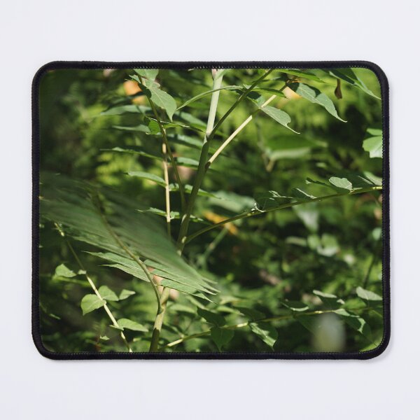 Item preview, Nature in green designed and sold by adel el khalil.
