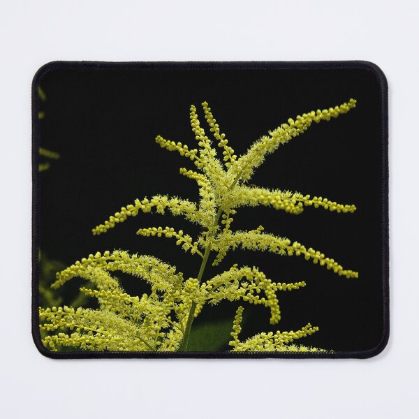 Item preview, Radiant Green-Yellow Floral Spike designed and sold by Apex_Visuals.