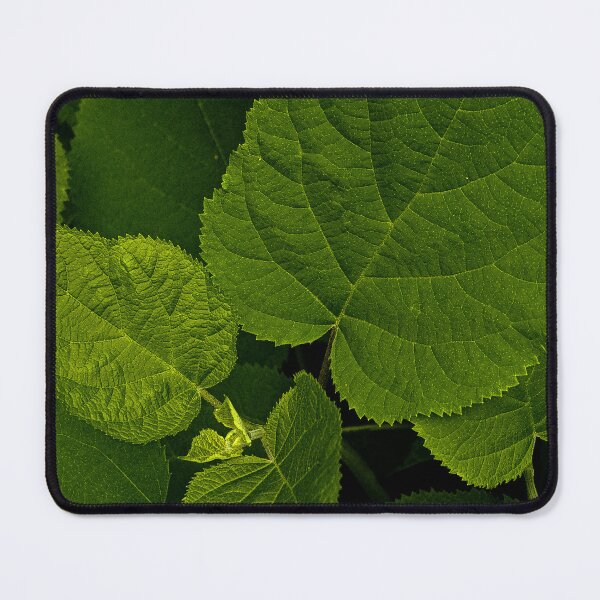 Item preview, Lush Deep Green Foliage Pattern designed and sold by Apex_Visuals.