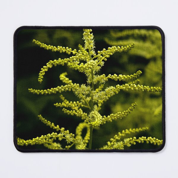 Item preview, Radiant Yellow-Green Botanical Bloom designed and sold by Apex_Visuals.