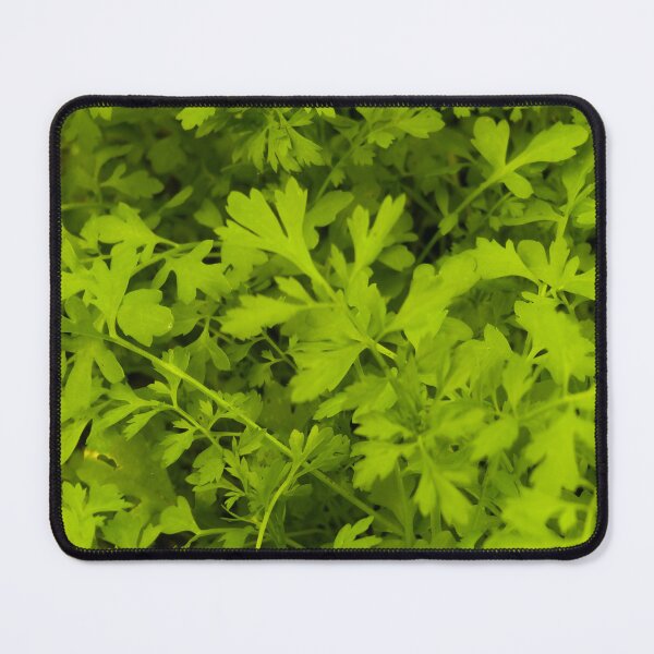 Item preview, Fresh Vibrant Green Herb Pattern designed and sold by Apex_Visuals.