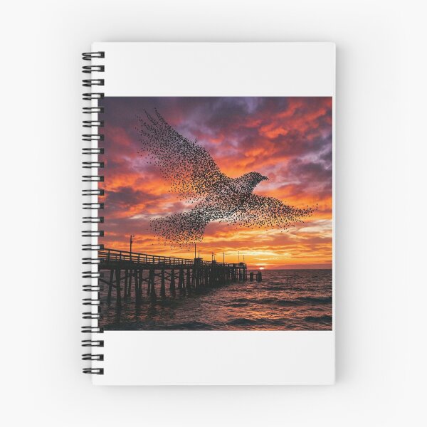 Item preview, Aberystwyth Pier Starling Murmuration Sunset designed and sold by DuckOddity.