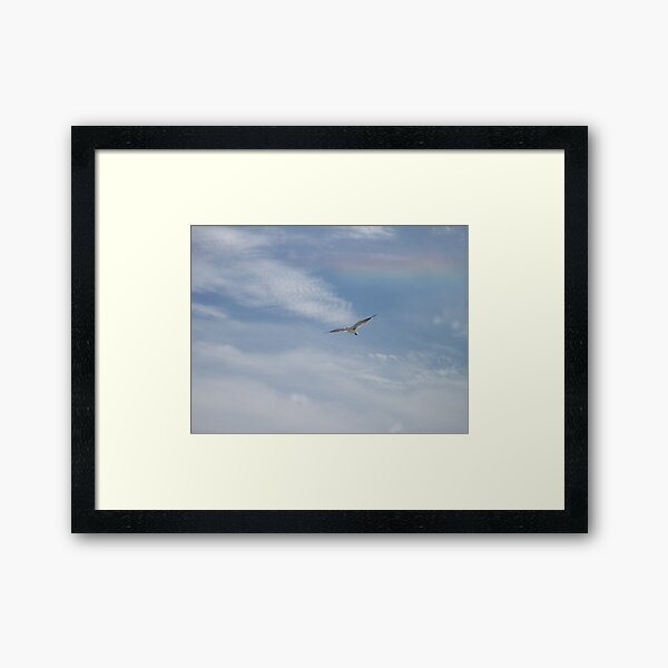 Item preview, The flight of the seagul designed and sold by stumbelina.