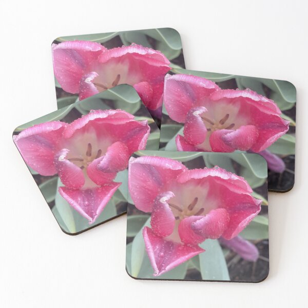 Item preview, Pink Tulip with Raindrops Macro Floral Photography designed and sold by greyforaday.