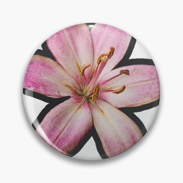 Item preview, Pink variegated lily designed and sold by Living Green in a Red State .