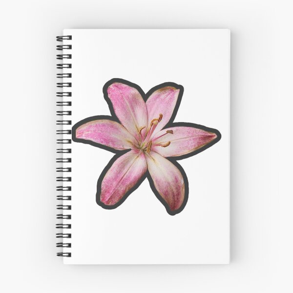 Item preview, Pink variegated lily designed and sold by Living Green in a Red State .