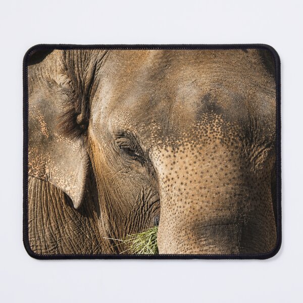 Item preview, Gentle Giant designed and sold by Kimberly Palmer.