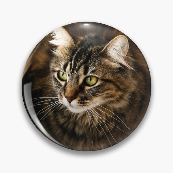 Item preview, Miss you designed and sold by Kimberly Palmer.