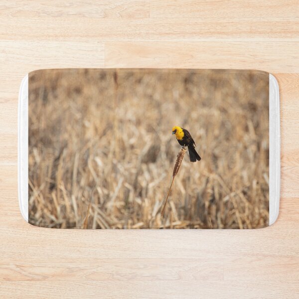 Item preview, Yellow Headed Blackbird on a Cattail designed and sold by LarsOlofPhoto.