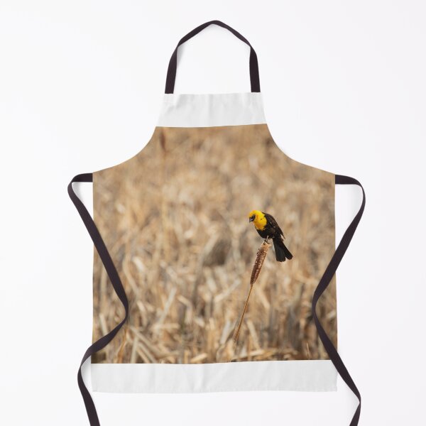 Item preview, Yellow Headed Blackbird on a Cattail designed and sold by LarsOlofPhoto.