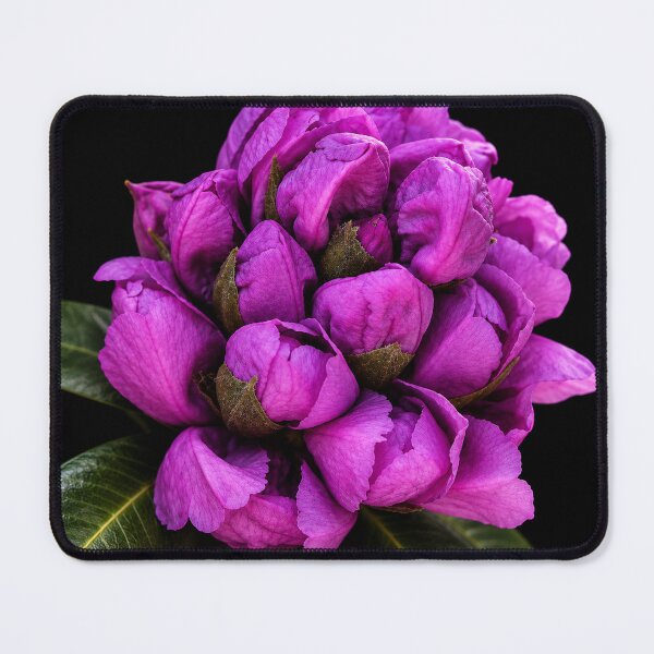 Item preview, Velvet Bloom designed and sold by Kimberly Palmer.