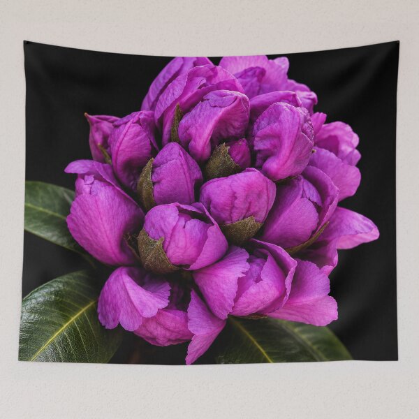 Item preview, Velvet Bloom designed and sold by Kimberly Palmer.
