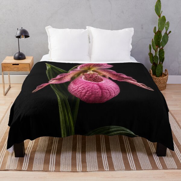 Item preview, Pink Lady Slipper Orchid on Black – Fine Art Botanical Portrait designed and sold by Kimberly Palmer.