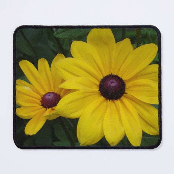 Item preview, Black-Eyed Susans designed and sold by Diane M. Lowe.