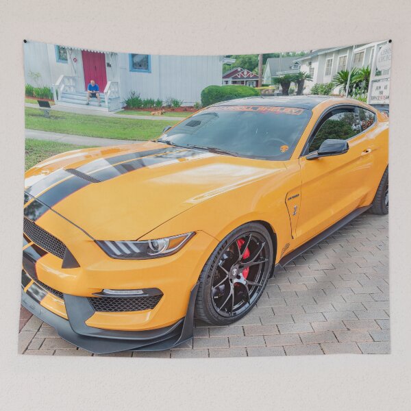 Item preview, 2020 Orange Ford Shelby GT350 X182 designed and sold by RichFrancoCars.