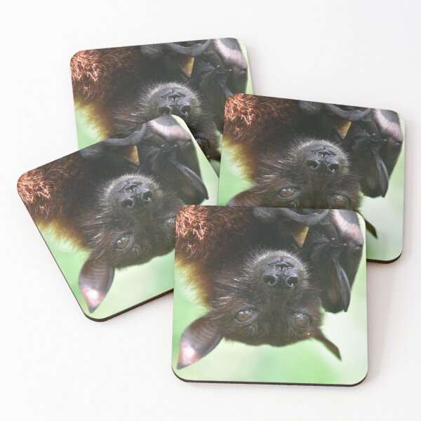 Item preview, CUTE FRUIT BAT acka AUSTRALIAN FLYING FOX designed and sold by Barbara Jean Photo Art And Design.