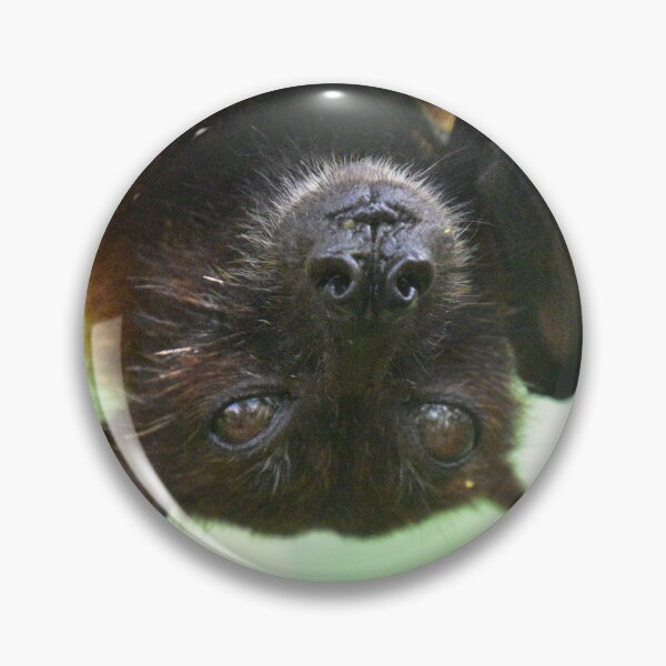 Item preview, CUTE FRUIT BAT acka AUSTRALIAN FLYING FOX designed and sold by Barbara Jean Photo Art And Design.