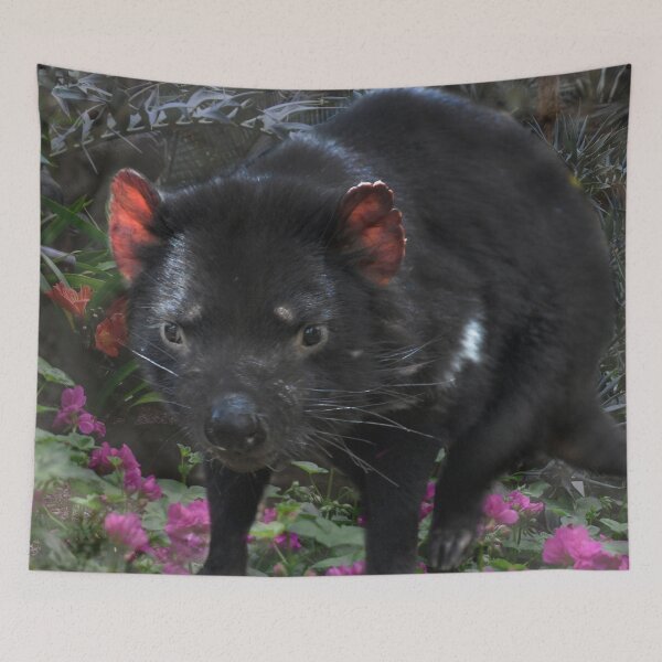 Item preview, TASSIE DEVIL, FUN QUOTE FOR T-SHIRTS designed and sold by Barbara Jean Photo Art And Design.