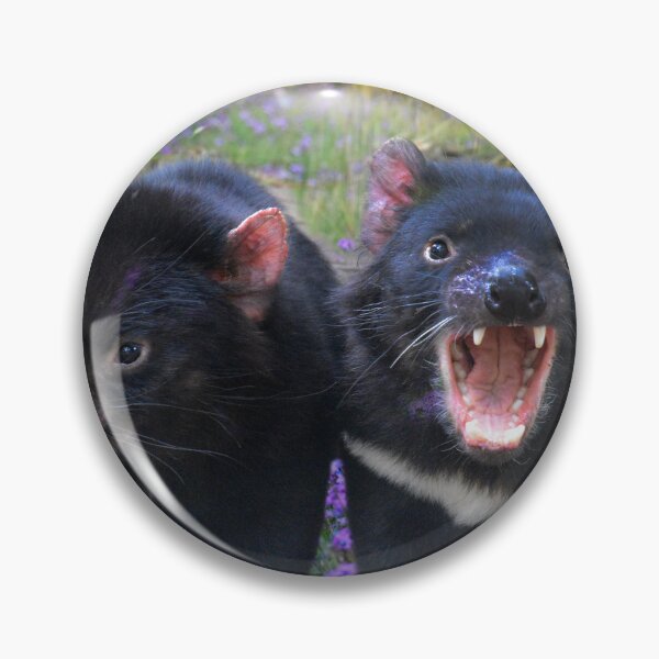 Item preview, TASSIE DEVIL, FUN QUOTE FOR CASUAL WEAR designed and sold by Barbara Jean Photo Art And Design.