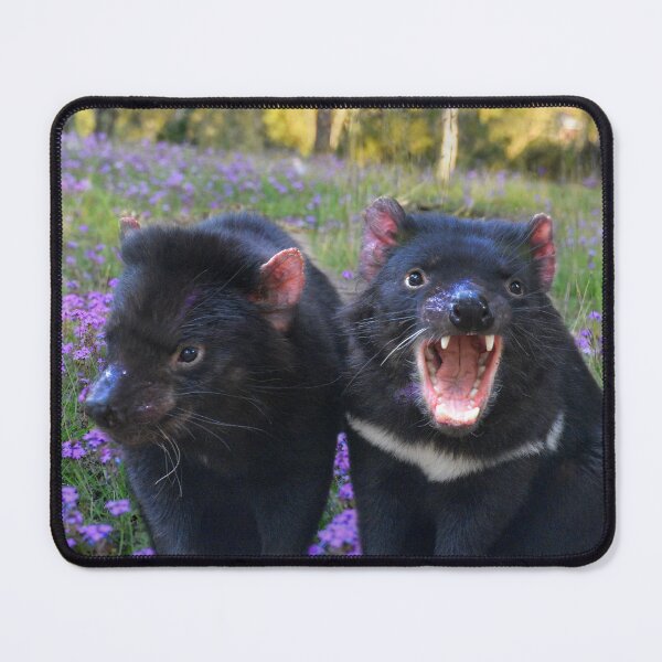 Item preview, TASSIE DEVIL, FUN QUOTE FOR CASUAL WEAR designed and sold by Barbara Jean Photo Art And Design.