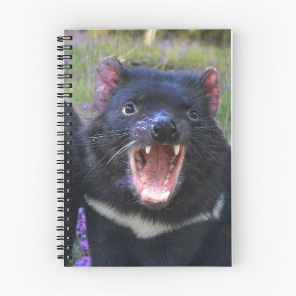 Item preview, TASSIE DEVIL, FUN QUOTE FOR CASUAL WEAR designed and sold by Barbara Jean Photo Art And Design.