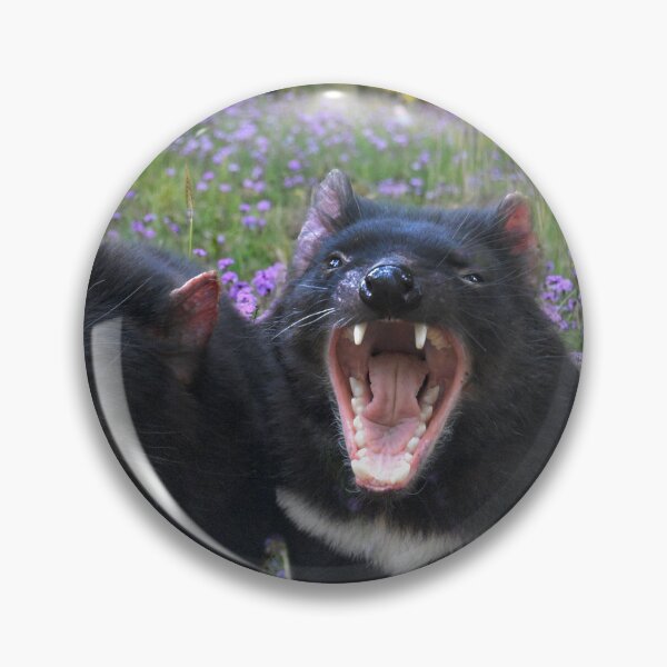 Item preview, TASSIE DEVIL, FUN QUOTE FOR T-SHIRTS and MORE designed and sold by Barbara Jean Photo Art And Design.