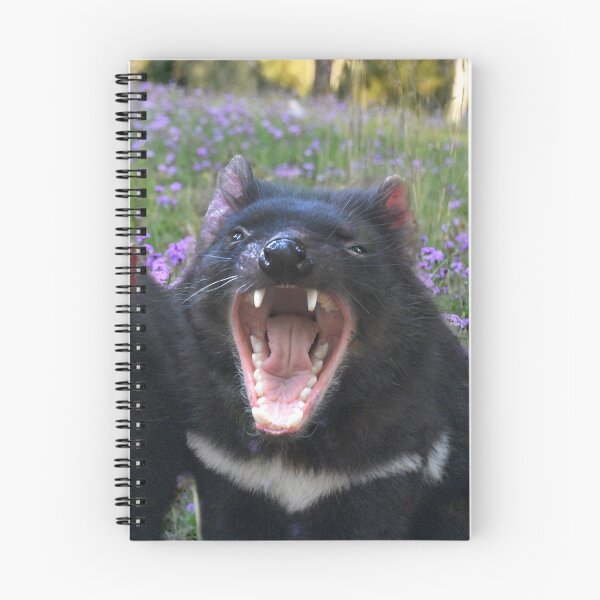 Item preview, TASSIE DEVIL, FUN QUOTE FOR T-SHIRTS and MORE designed and sold by Barbara Jean Photo Art And Design.