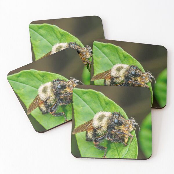 Item preview, Eastern Yellow-Backed Laphria  designed and sold by Fultz-Brothers.