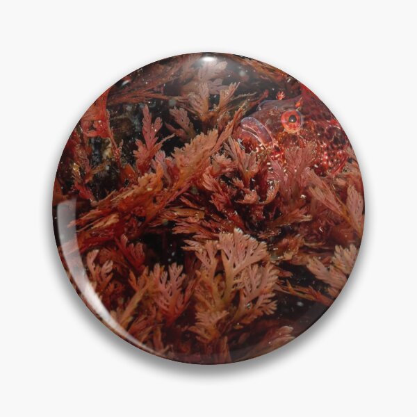 Item preview, Ocean Liverpool Fc King Rising designed and sold by Sajutitulpes.