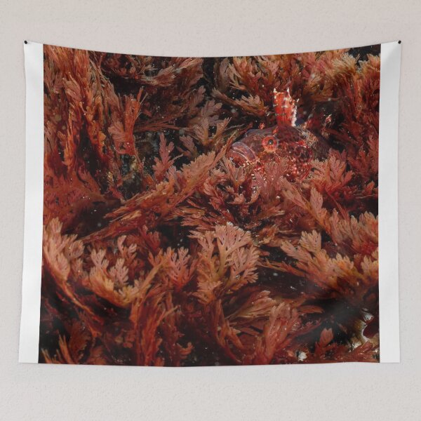 Item preview, Ocean Liverpool Fc King Rising designed and sold by Sajutitulpes.