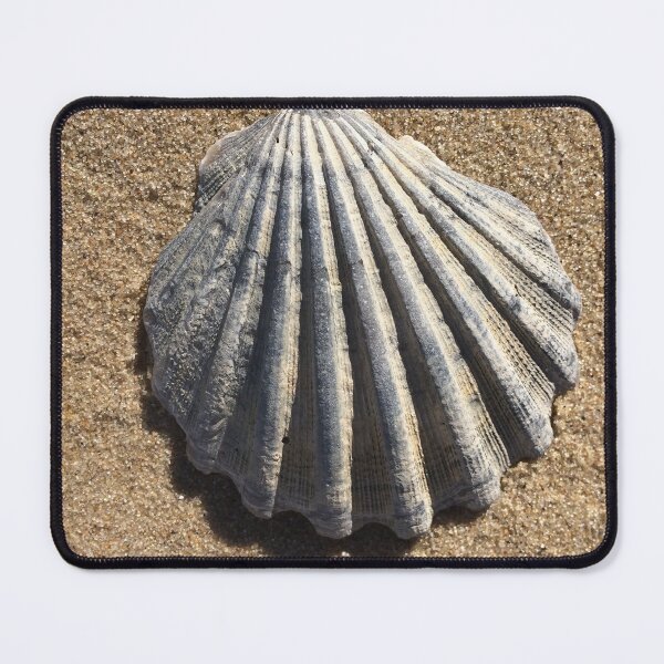 Item preview, Seashell on a beach designed and sold by jrushforth.