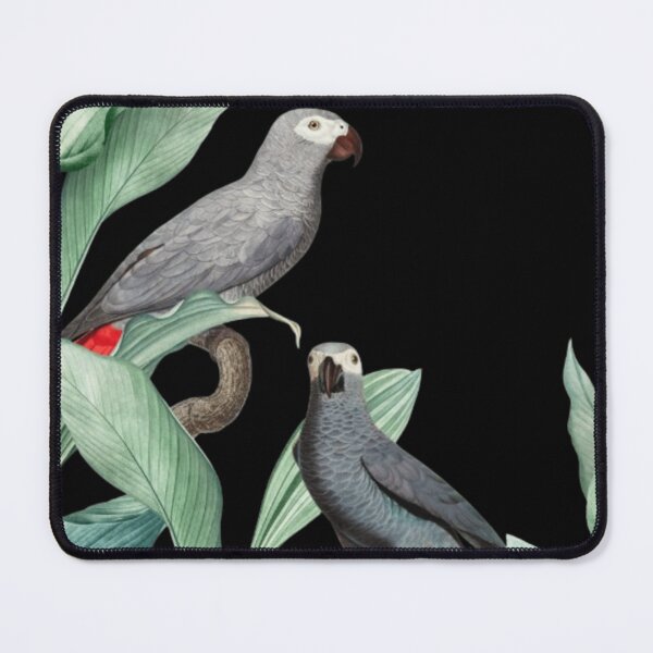 Item preview, Grey Parrots in Foliage | Elegant Botanical Wildlife Illustration designed and sold by Rawafi Art Studio.