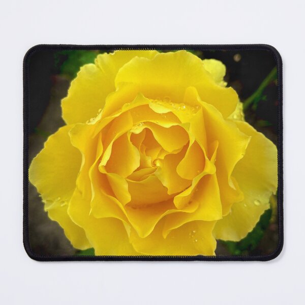 Item preview, Yellow Rose designed and sold by Cyrus Moth.