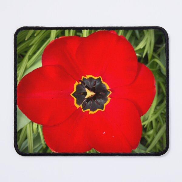 Item preview, Tulip II designed and sold by Cyrus Moth.