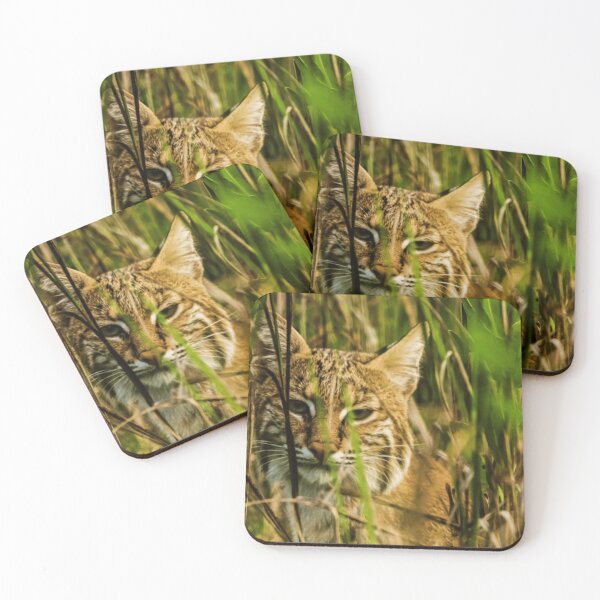 Item preview, Wild Lynx in Grass | Wildlife Nature Art designed and sold by Rawafi Art Studio.