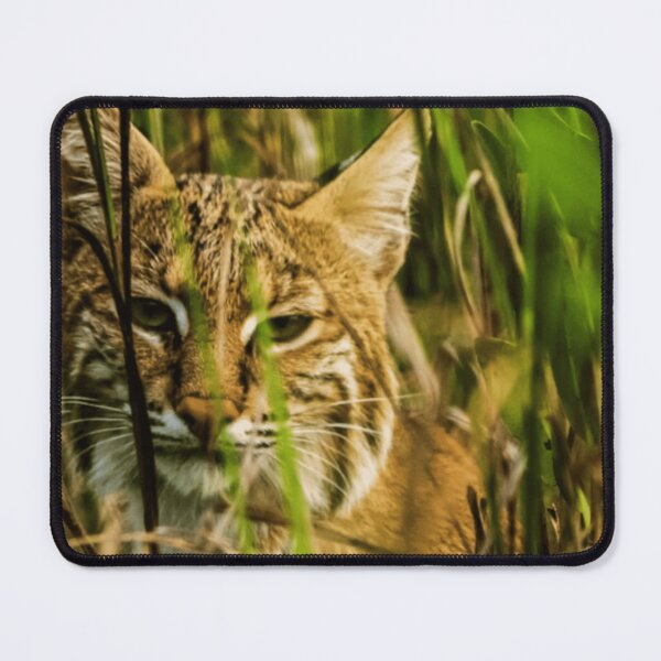 Item preview, Wild Lynx in Grass | Wildlife Nature Art designed and sold by Rawafi Art Studio.