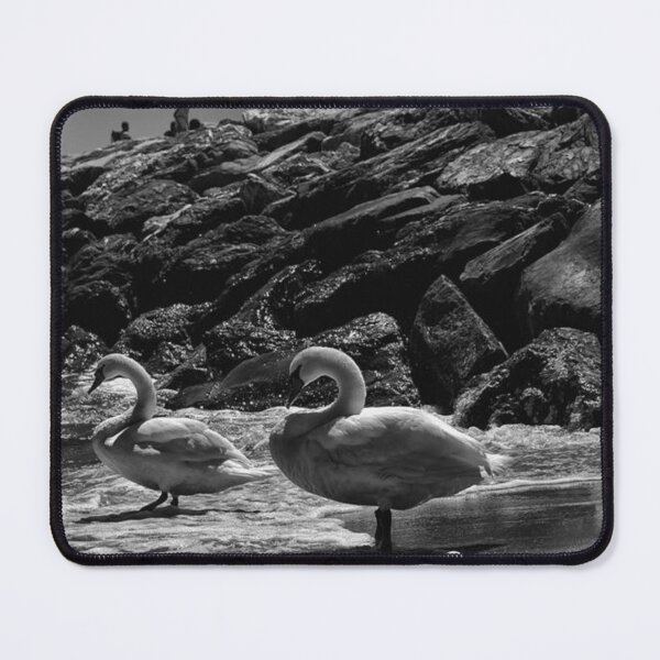 Item preview, Elegant Swans designed and sold by Gleichnerdes.