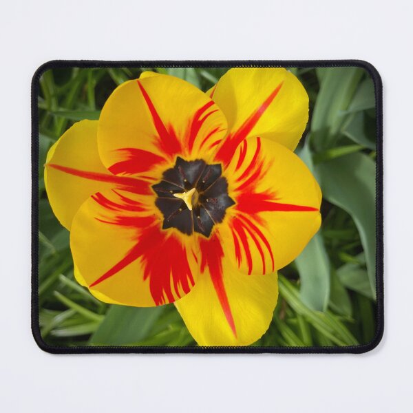 Item preview, Tulip I designed and sold by Cyrus Moth.
