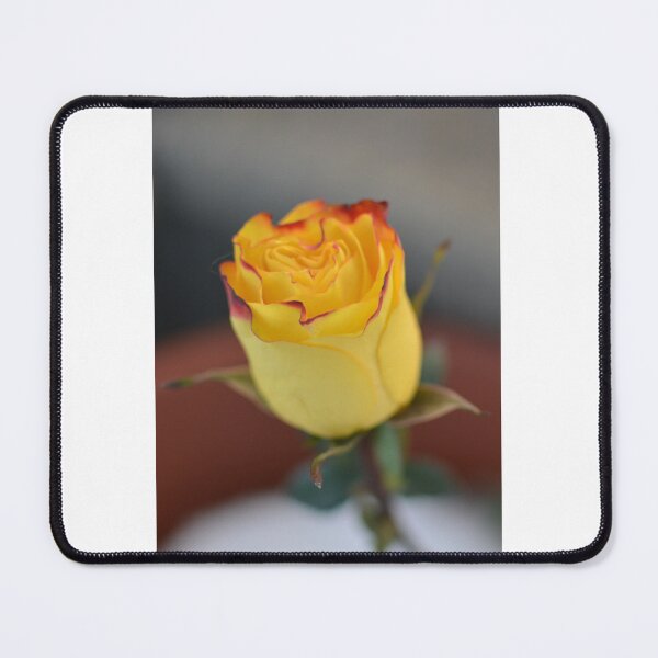 Item preview, Yellow Rose designed and sold by Rjsmommy23.