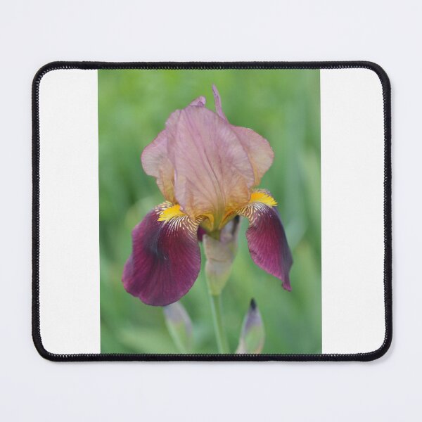 Item preview, Iris  designed and sold by Rjsmommy23.