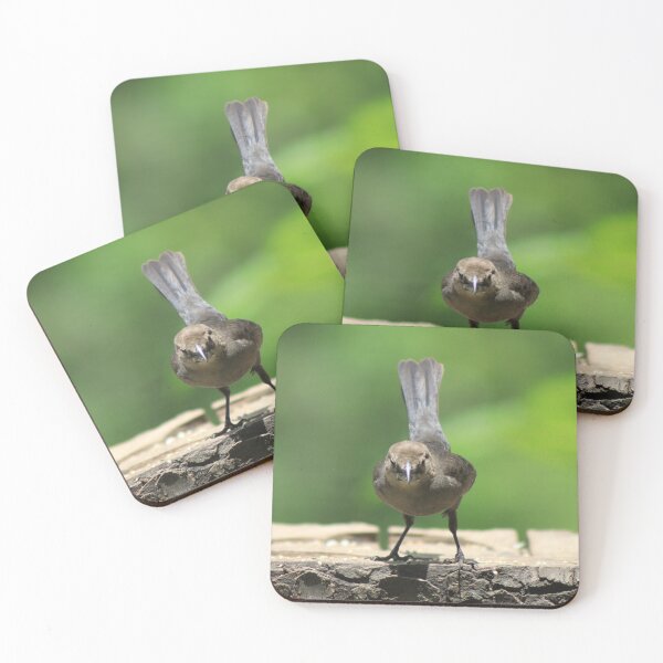 Item preview, The Curious Visitor designed and sold by Kindred Photograghy.