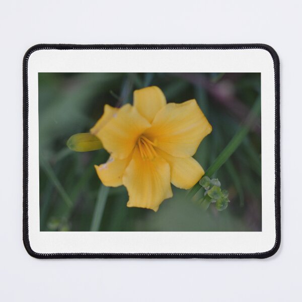 Item preview, Yellow Lily designed and sold by Rjsmommy23.